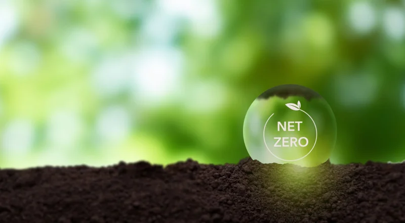 Bubble with words 'Net zero' on it' sat on soil
